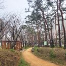 송파구 추억의 송파장길 | 서울 송파 도보여행, 추억의 송파장길 걸어요~