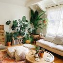 플랜테리어 이미지