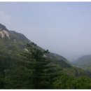 거북농장 이미지