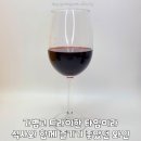 우니꼬 네이버블로그
