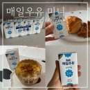 소용량 우유 추천 매일우유 미니 _ 멸균우유 홈카페 다이어트 바나나 푸딩 레시피