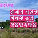 제주도 가족여행 천지연폭포 ~ 제주 휴애리 이미지