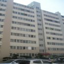 봉선중앙로 이미지