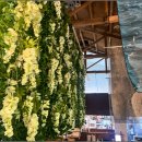 난산리-9 이미지