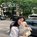 짱2 | 서초피부과 | 코조각주사+콧볼보톡스 효과 짱! 2차 후기