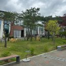 [가평] 아이와 가볼만한 곳, 가족 여행 테마파크 &lt;가평베고니아새정원&gt; 후기 | 위치, 주차, 입장료, 꿀팁