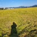 담양군수북면수남보건진료소 | 수북면 답