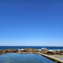에덴세차장 | (호주 워홀 D+170~172) South coast 로드트립 - dalmeny, bermagui, tilba, bega, eden