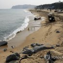 백사장해변 이미지