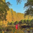 조경나라익산