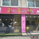 고양이무마취미용 고무미 | 양천구/동작구/관악구/금천구 독산동 고양이 무마취 미용 전문! 고무미