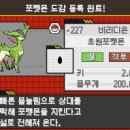 쌍용체육관 이미지