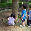 상일어린이집 이미지