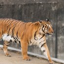 달성공원 이미지