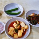 순대국밥 점심으로 먹고온 제주 용담 통큰막장 이미지