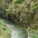 수림1교 이미지