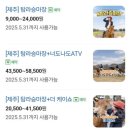 탐라승마장 | (제주도) 탐라승마장 - 승마 가격, 승마 시 주의사항, 사진 촬영 및 액자 가격, 엄마랑 승마 후기