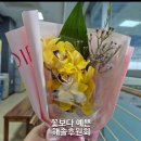 해솔 이미지