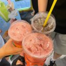 더크립24 이미지