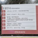 퍼피라떼 이미지