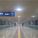 구미오하나훌라교습소 | [하와이안 훌라] #4. 잠깐 쉴게요, 조금 길게 / 제6회 안양 아시아 훌라&우쿠렐레 페스티벌
