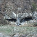 용동1리 Daum카페