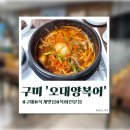 오대양복어 이미지