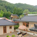 스테이더담 도율 이미지