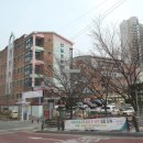 삼성1-101 Daum카페