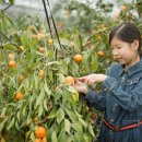 규리농장 이미지