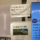 옐로카펫 | 인천여행/호캉스/가볼만한곳/월미도 가성비 숙소 블루옐로마린호텔/풀오션뷰 코너스위트 더블 후기