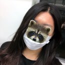 왁싱) 슈가링으로 효과적인 헤어라인 왁싱 ! 슈가링 왁싱 전문샵 &lt;슈가링하우스 강서점&gt;에서 받고온 후기