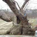 정곡경로당 이미지