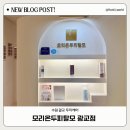모리온 두피탈모 광교점