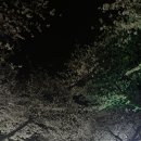 동광로1길 28 이미지