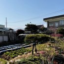 서편네민박 이미지