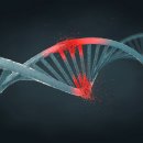 CW-1457-01 이미지