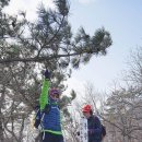 여수돌산봉황산금오산 이미지