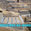 대성장의개발