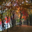 용구대로 이미지