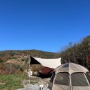 산너미목장 명당, 팁, 산너미팜, 애견동반 주말캠핑 후기(feat.흑염소) 🏕️