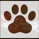 와우애견 이미지