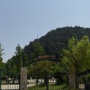 🌳 담양 메타세쿼이아길 산책, 어린이 프로방스 공룡공원부터 숲속 힐링까지