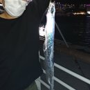 MJ관광호텔 이미지