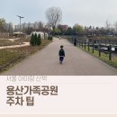 가족공원 | 용산가족공원 아이와 산책 후기 │ 텃밭 구역 위치 + 주차 팁