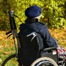 양산천변 이미지