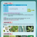 신흥종묘사 이미지