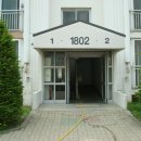 초지2로 이미지