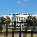 백악관 이미지