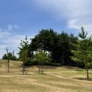 도시숲 산책길 이미지